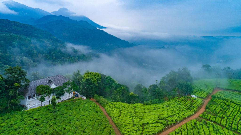 Coorg Wayanad Tour Package From Bangalore